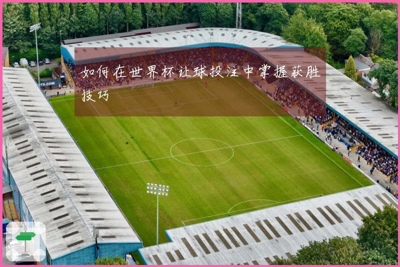 如何在世界杯让球投注中掌握获胜技巧