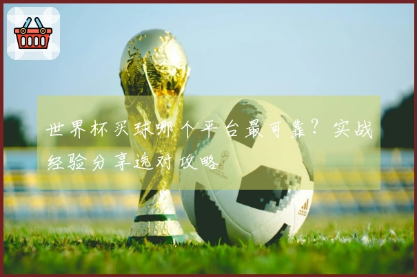世界杯买球哪个平台最可靠？实战经验分享选对攻略