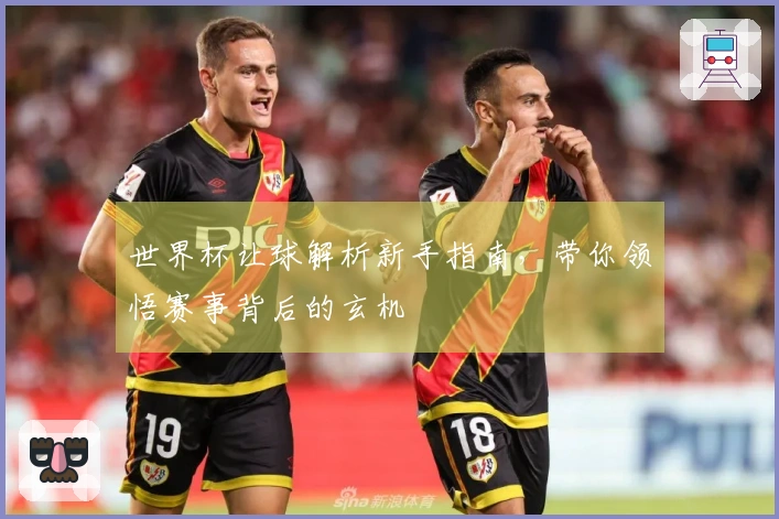 世界杯让球解析新手指南，带你领悟赛事背后的玄机