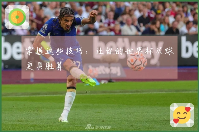 掌握这些技巧，让你的世界杯买球更具胜算