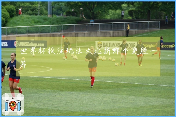 世界杯投注玩法大比拼哪个更胜一筹