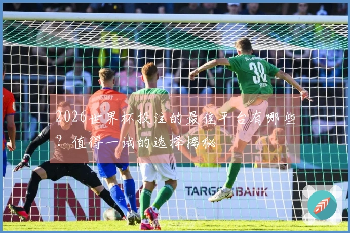 2026世界杯投注的最佳平台有哪些？值得一试的选择揭秘