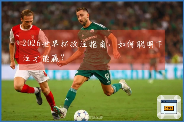 2026世界杯投注指南，如何聪明下注才能赢？