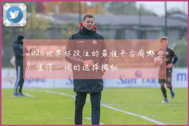 2026世界杯投注的最佳平台有哪些？值得一试的选择揭秘